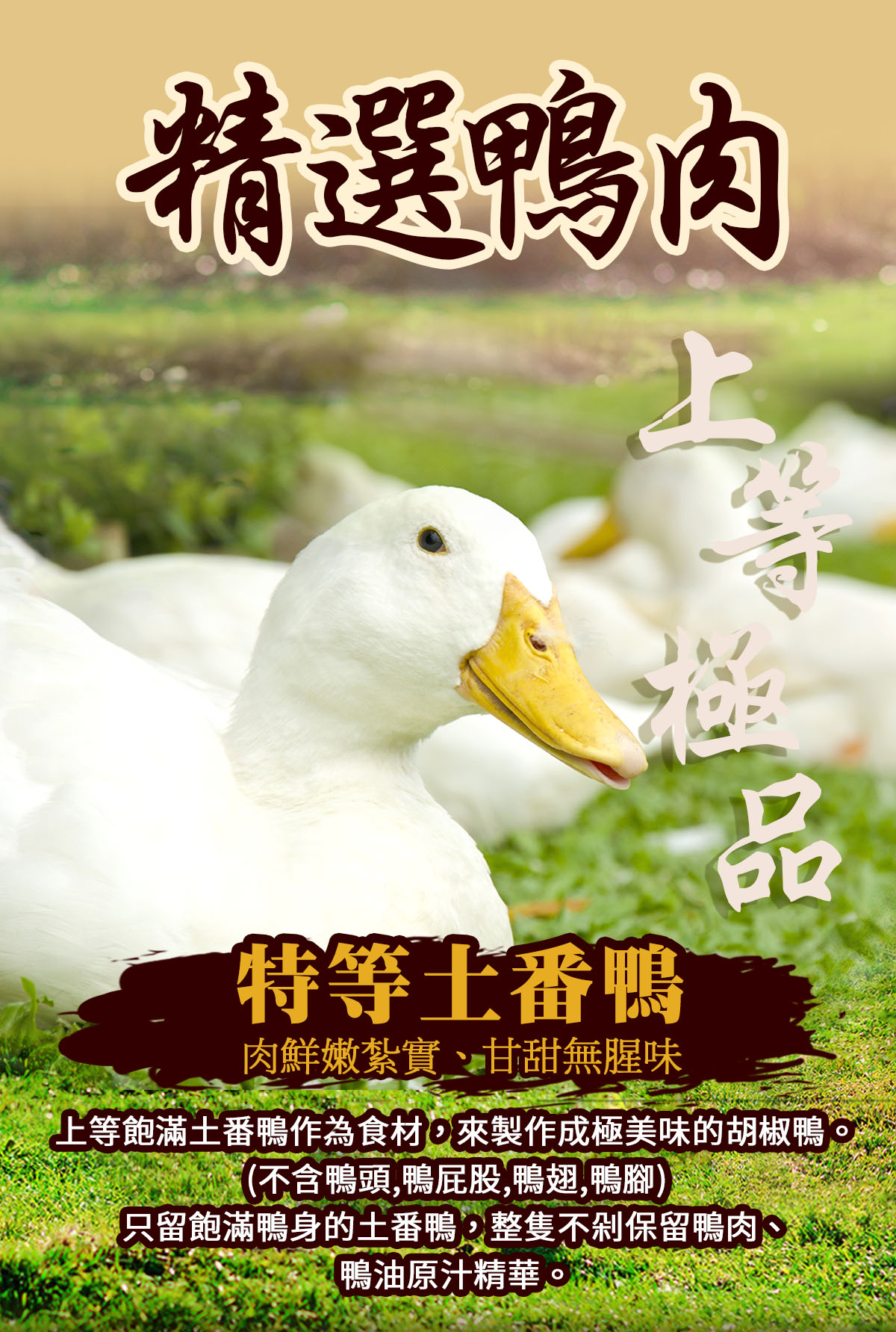 【踏輕Touchin】匠職沉浸式鍋物料理 【踏輕Touchin】匠職沉浸式鍋物料理