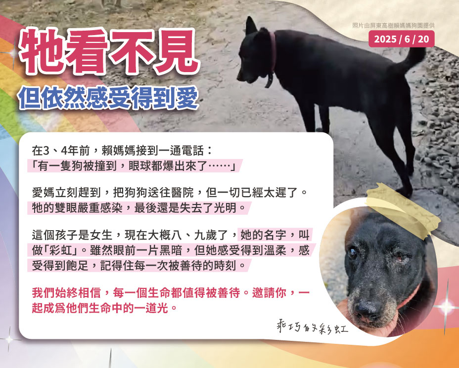 浪孩飽足 浪孩飽足