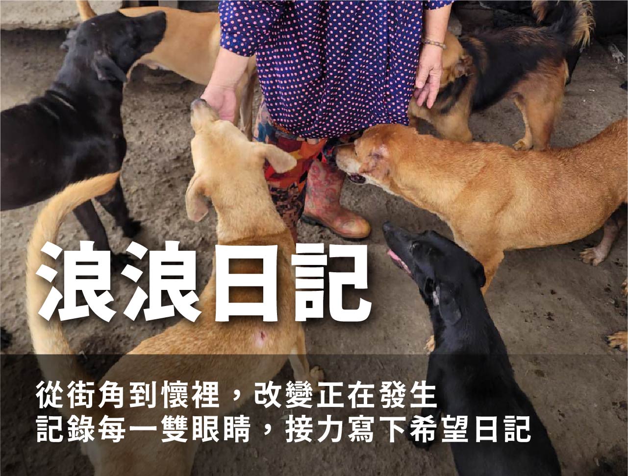 浪孩飽足 浪孩飽足