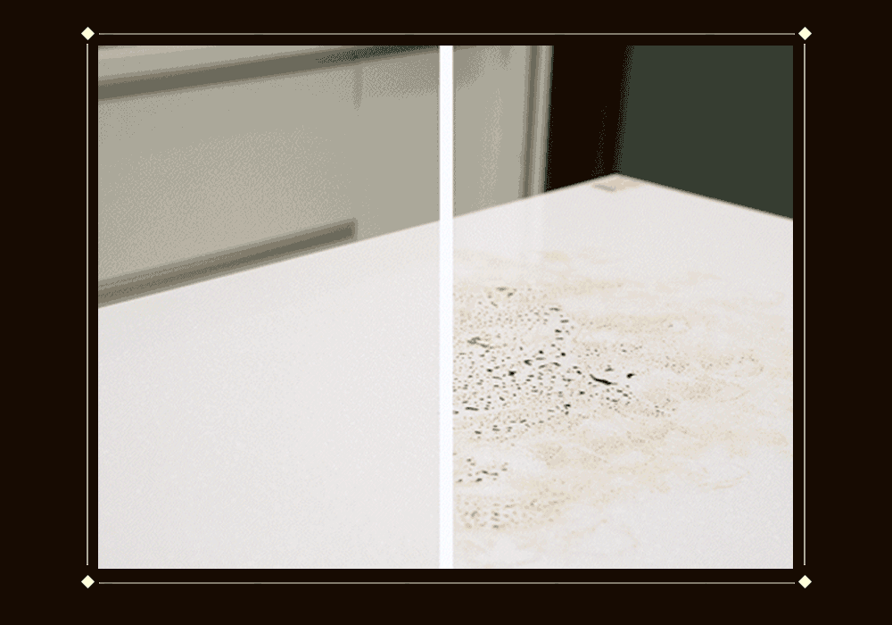 COTD-地板清潔劑