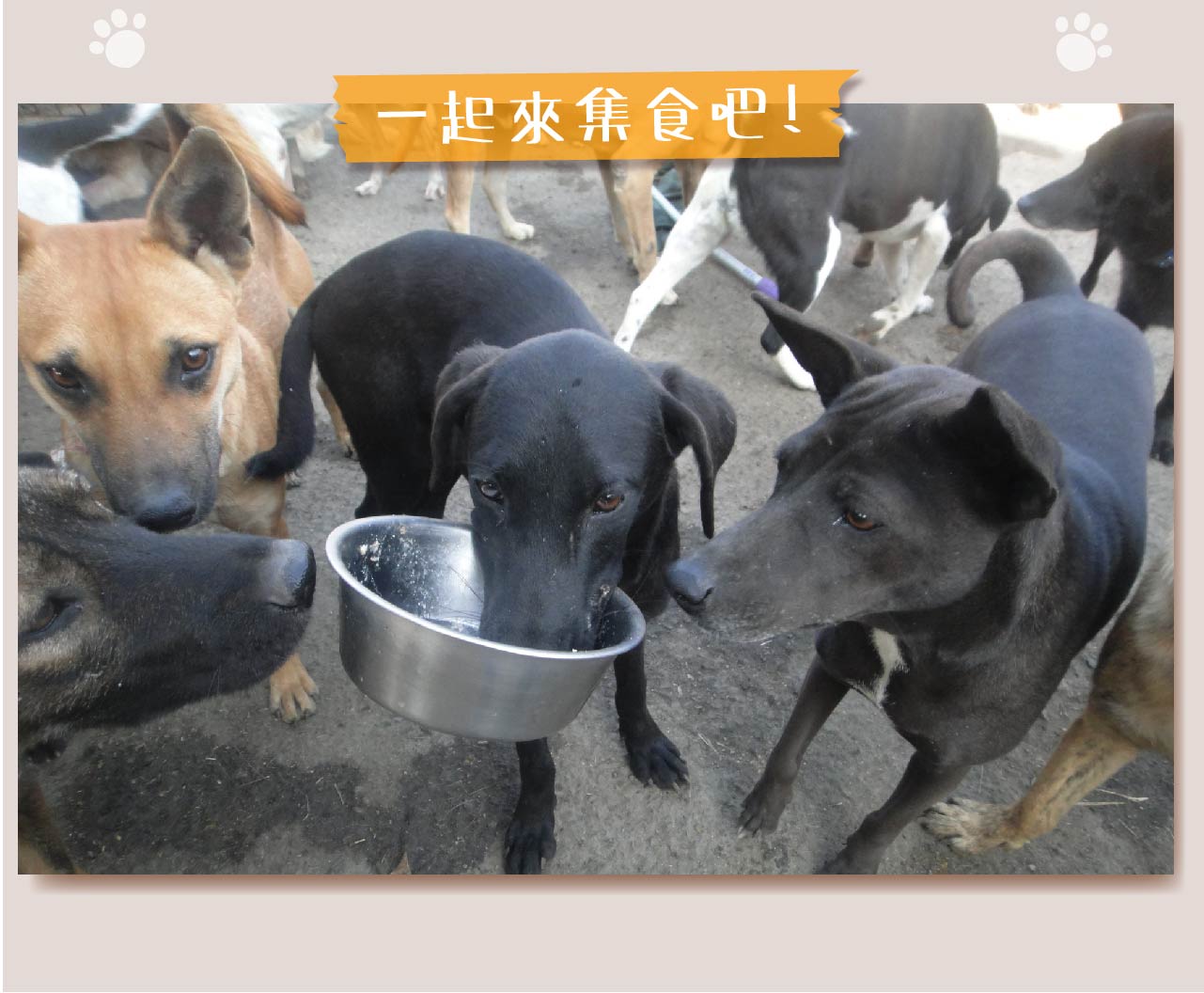 浪孩飽足 浪孩飽足