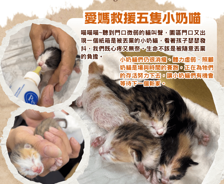 浪孩飽足