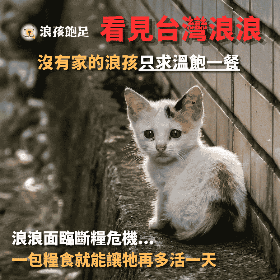 浪孩飽足