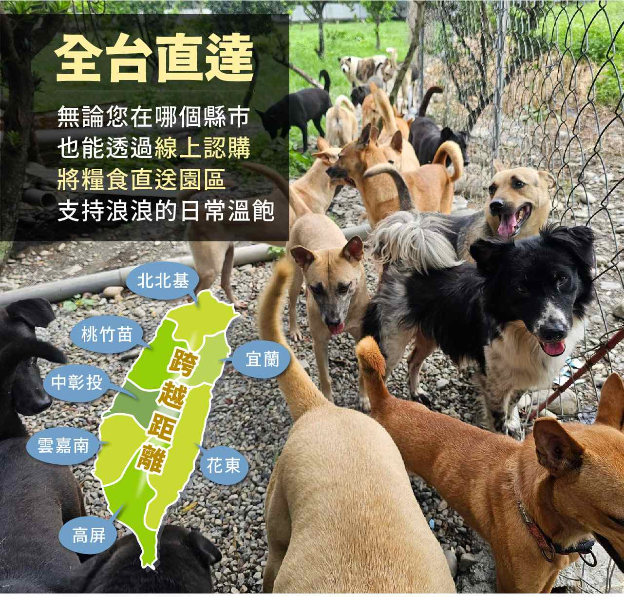 浪孩飽足