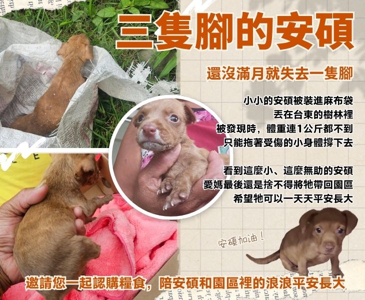 浪孩飽足