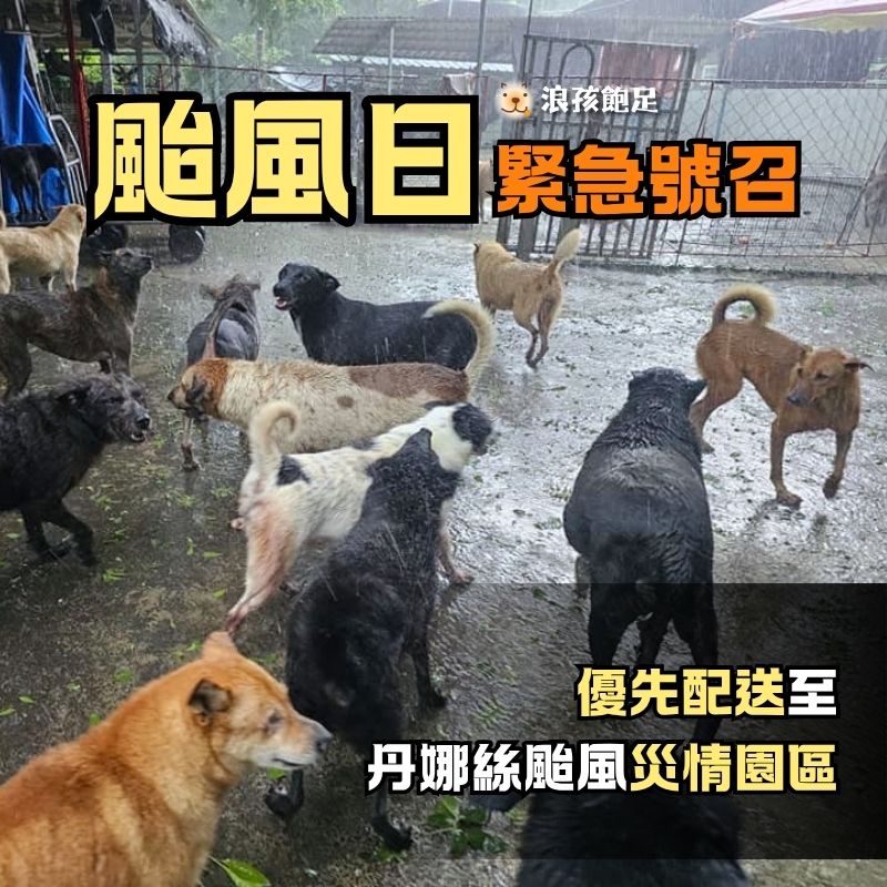 浪孩飽足 浪孩飽足