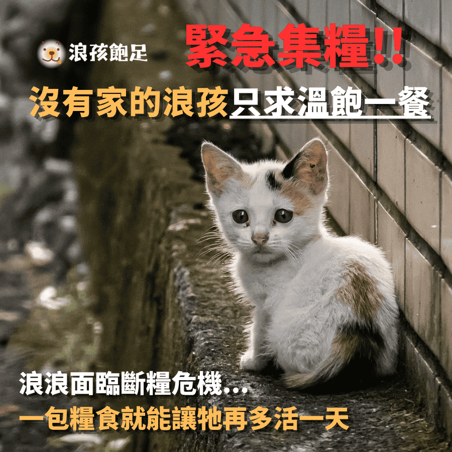 浪孩飽足