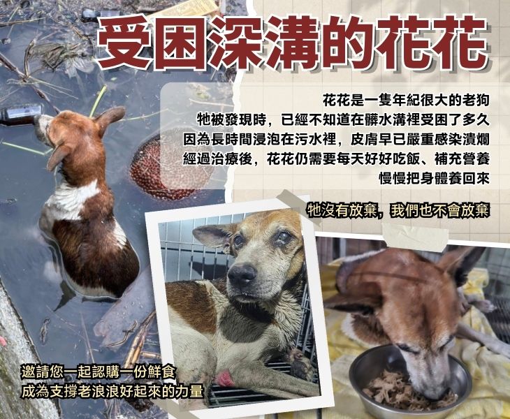 浪孩飽足