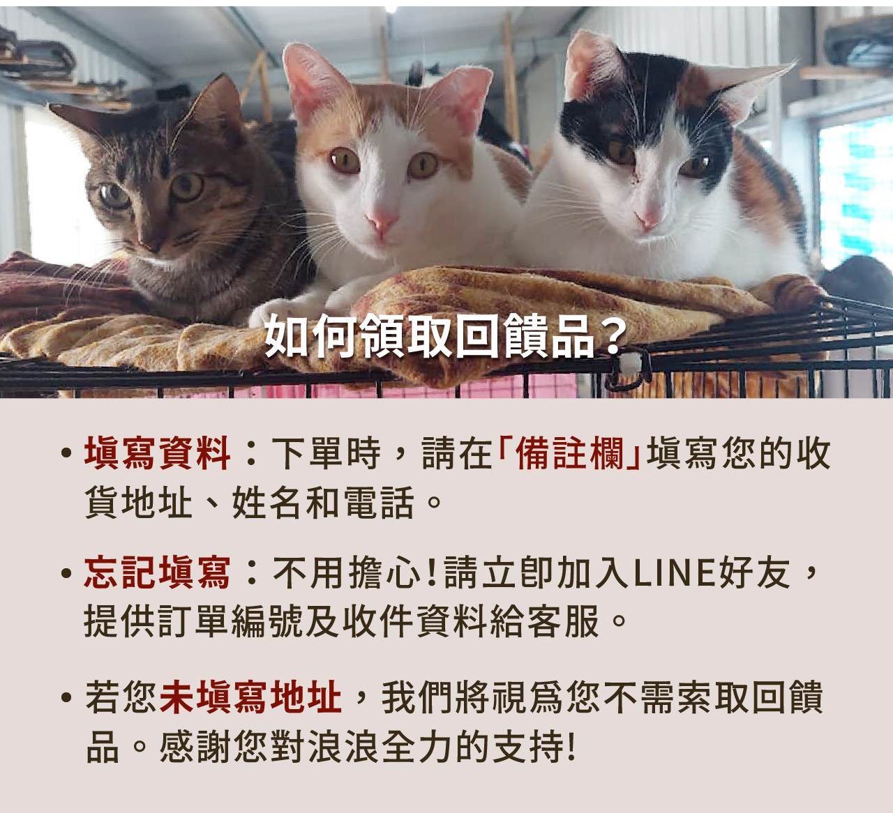 浪孩飽足
