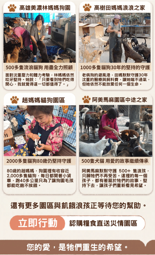 浪孩飽足