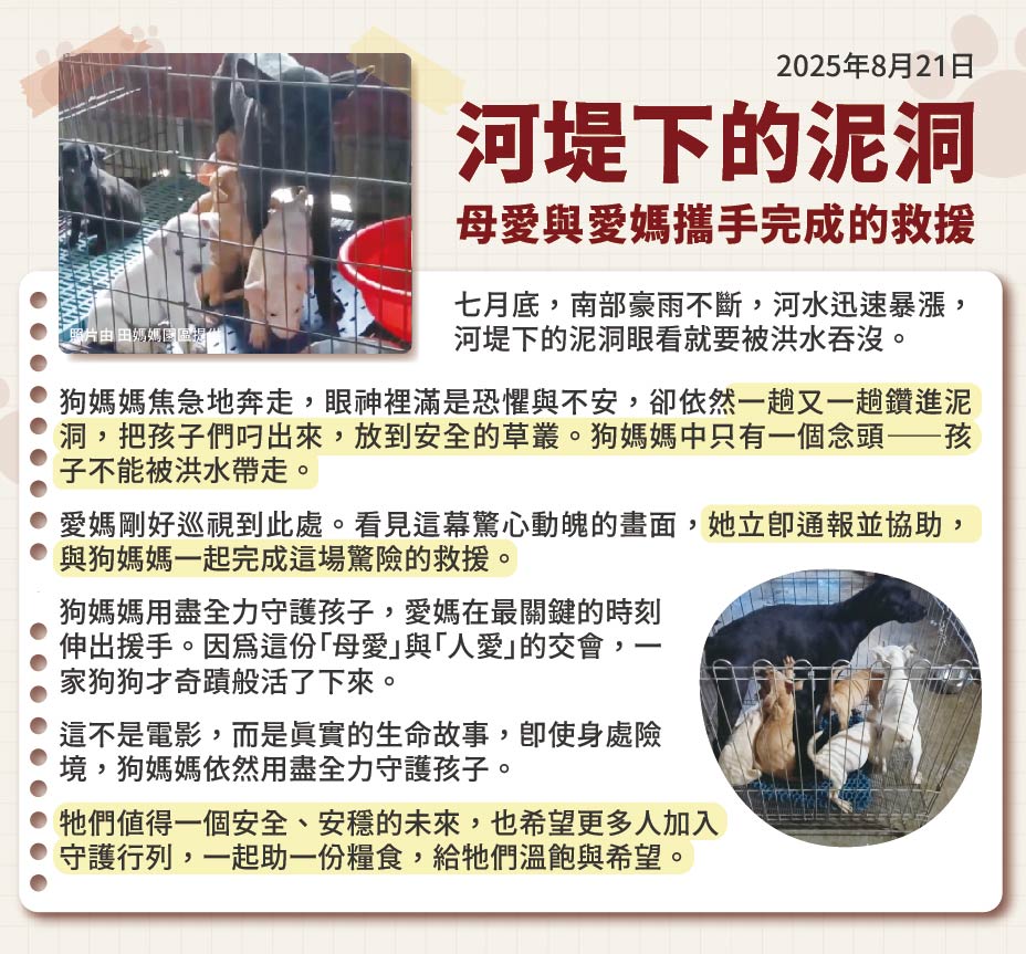 浪孩飽足 浪孩飽足