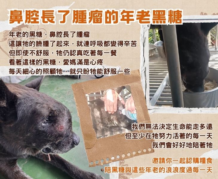 浪孩飽足