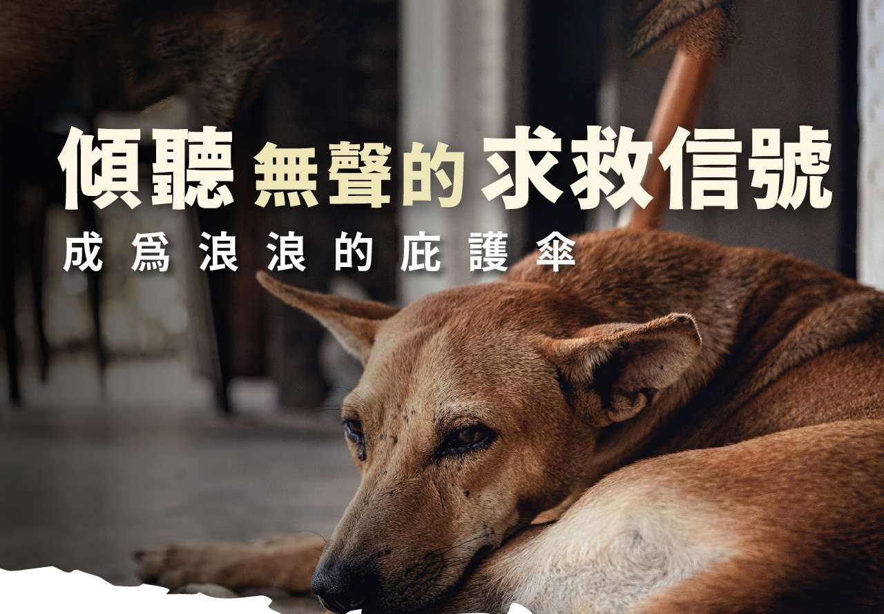 浪孩飽足 浪孩飽足