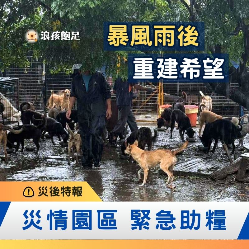 浪孩飽足 浪孩飽足