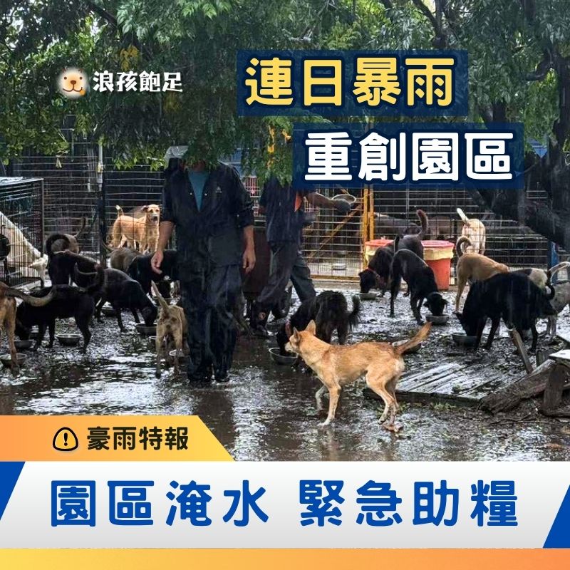 浪孩飽足 浪孩飽足