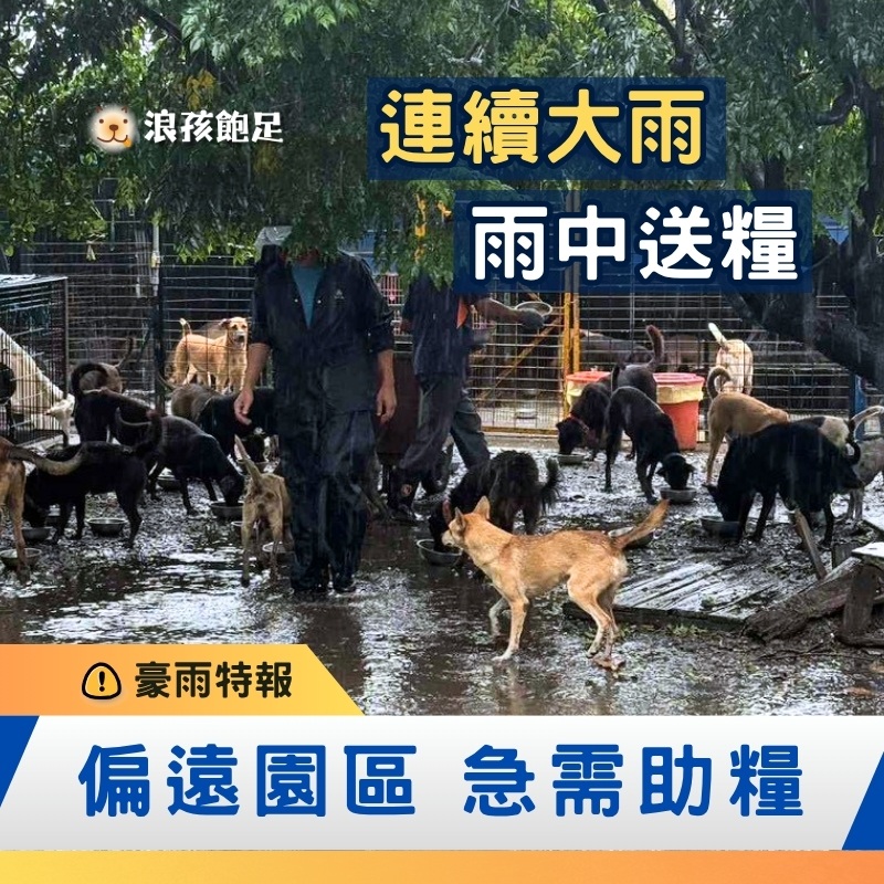 浪孩飽足 浪孩飽足