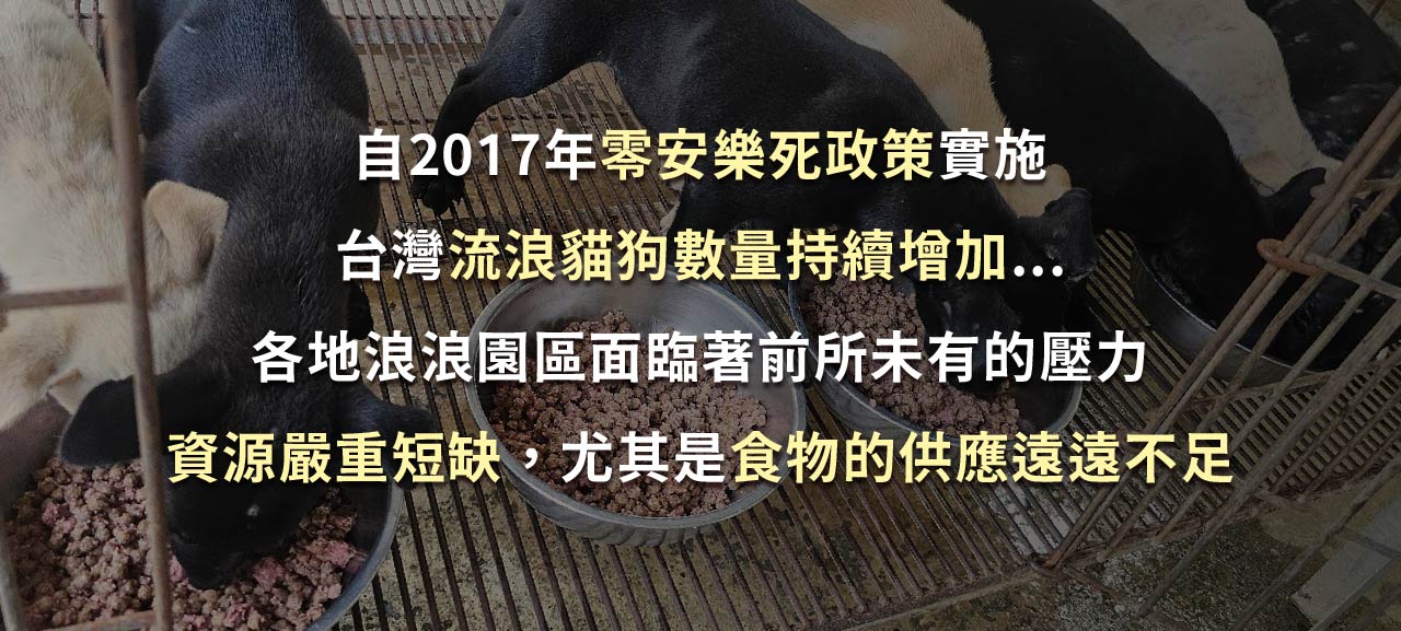 浪孩飽足 浪孩飽足