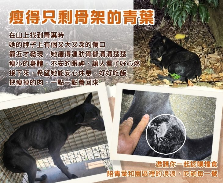 浪孩飽足