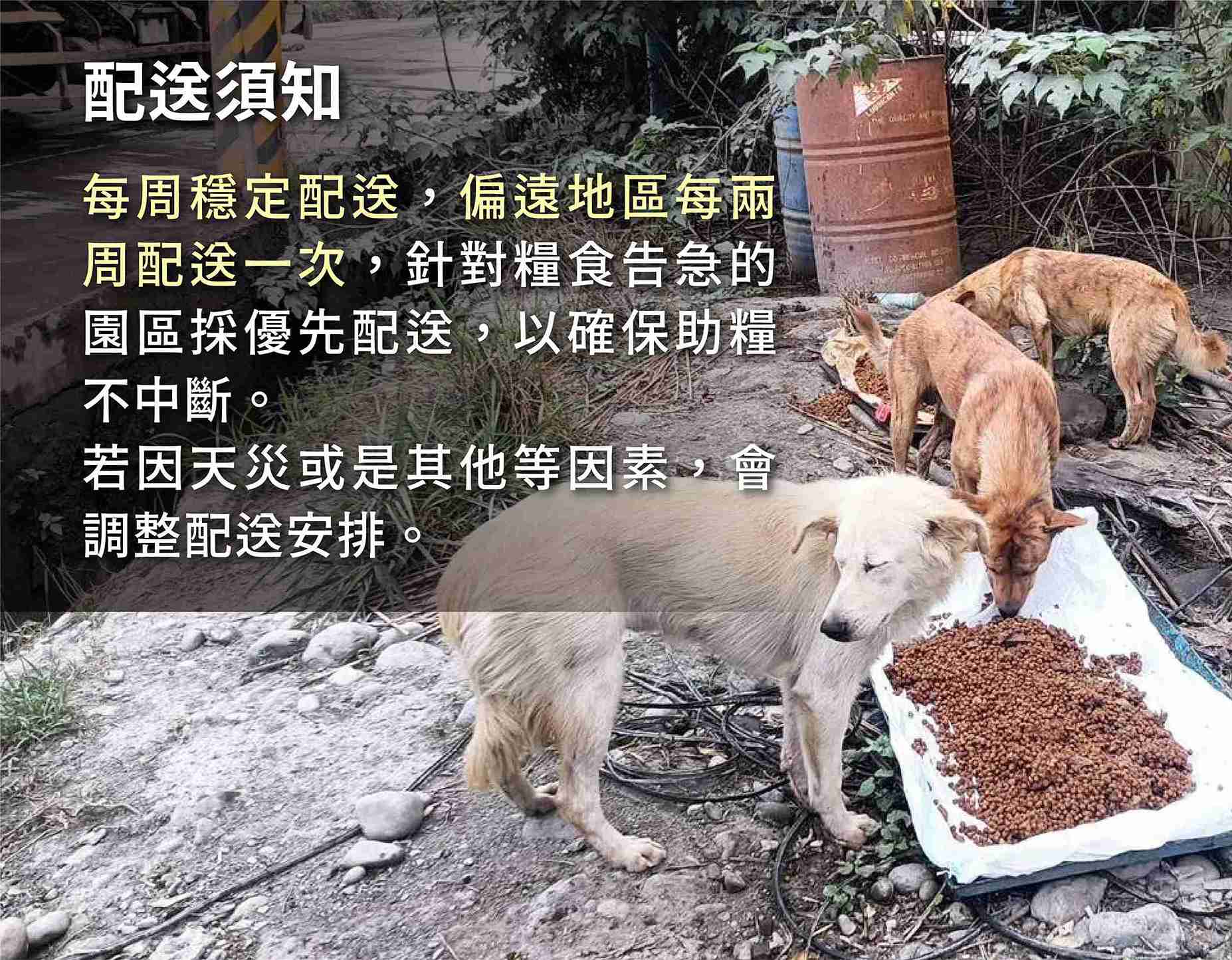 浪孩飽足
