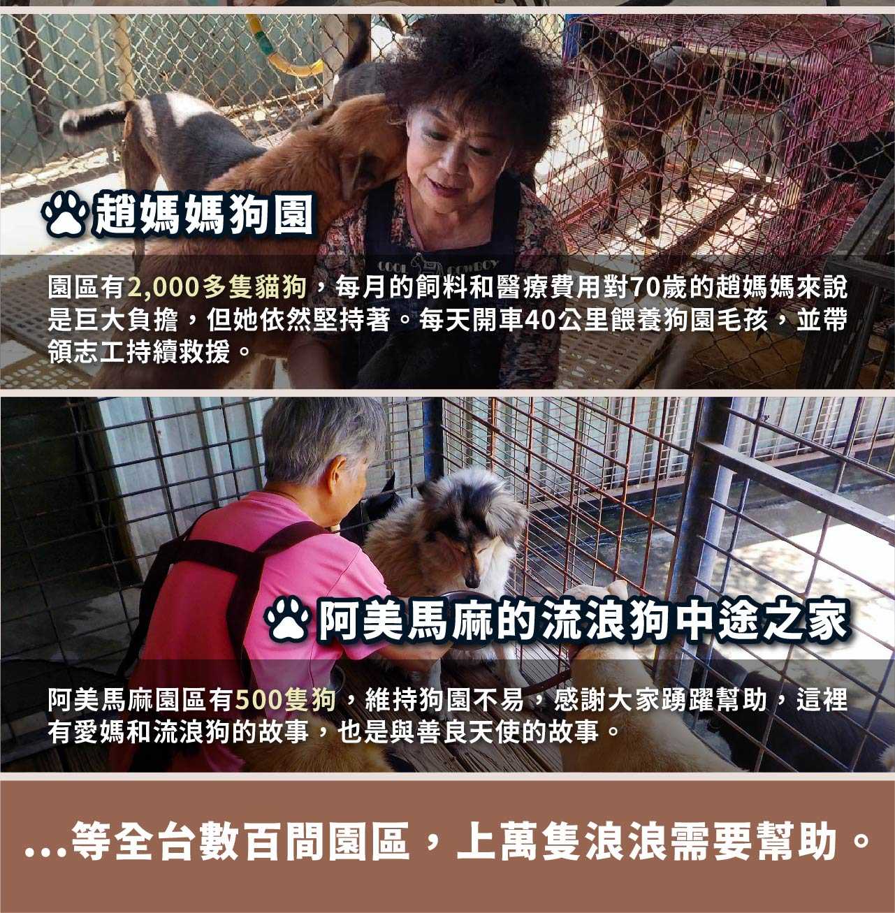 浪孩飽足 浪孩飽足