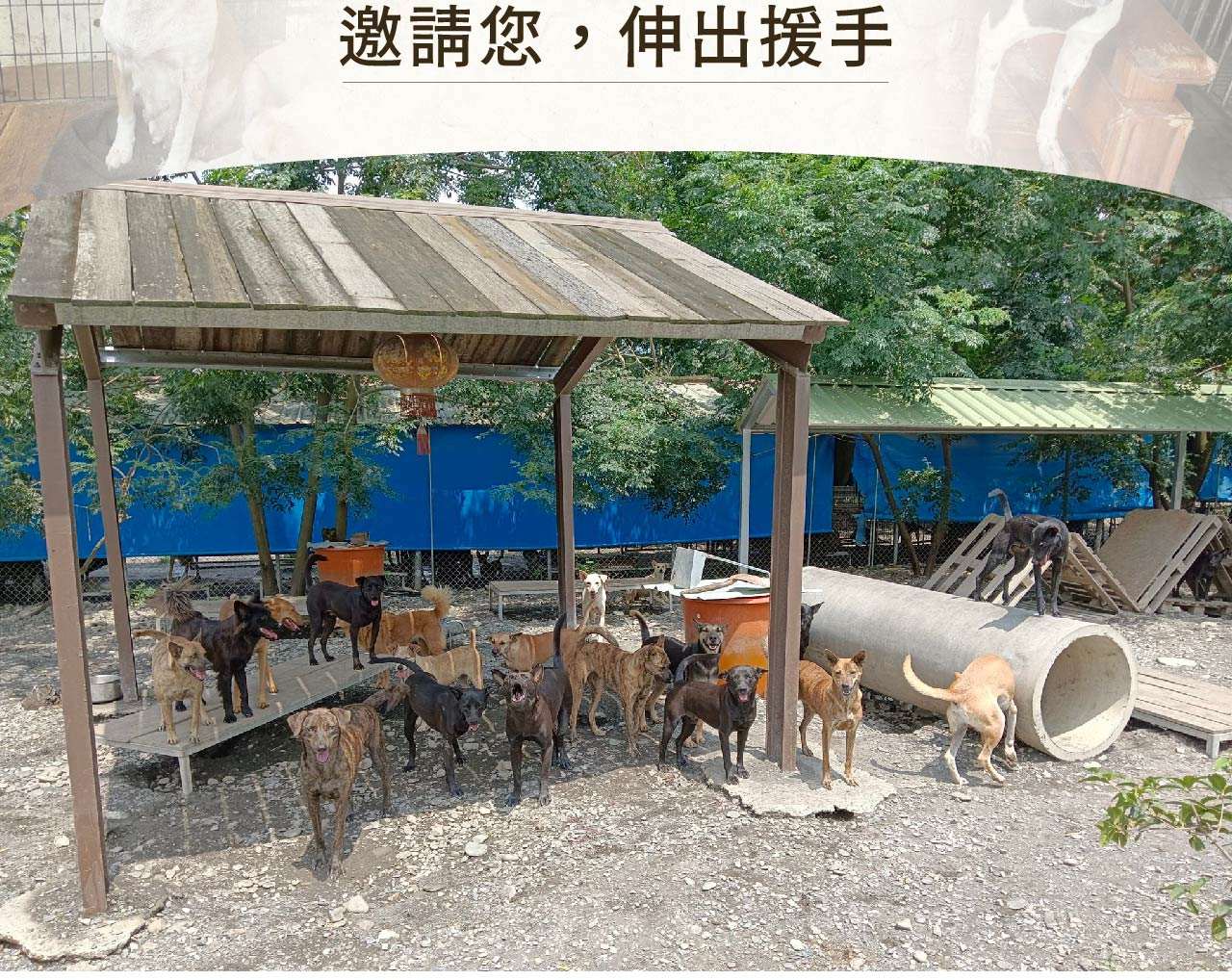浪孩飽足 浪孩飽足