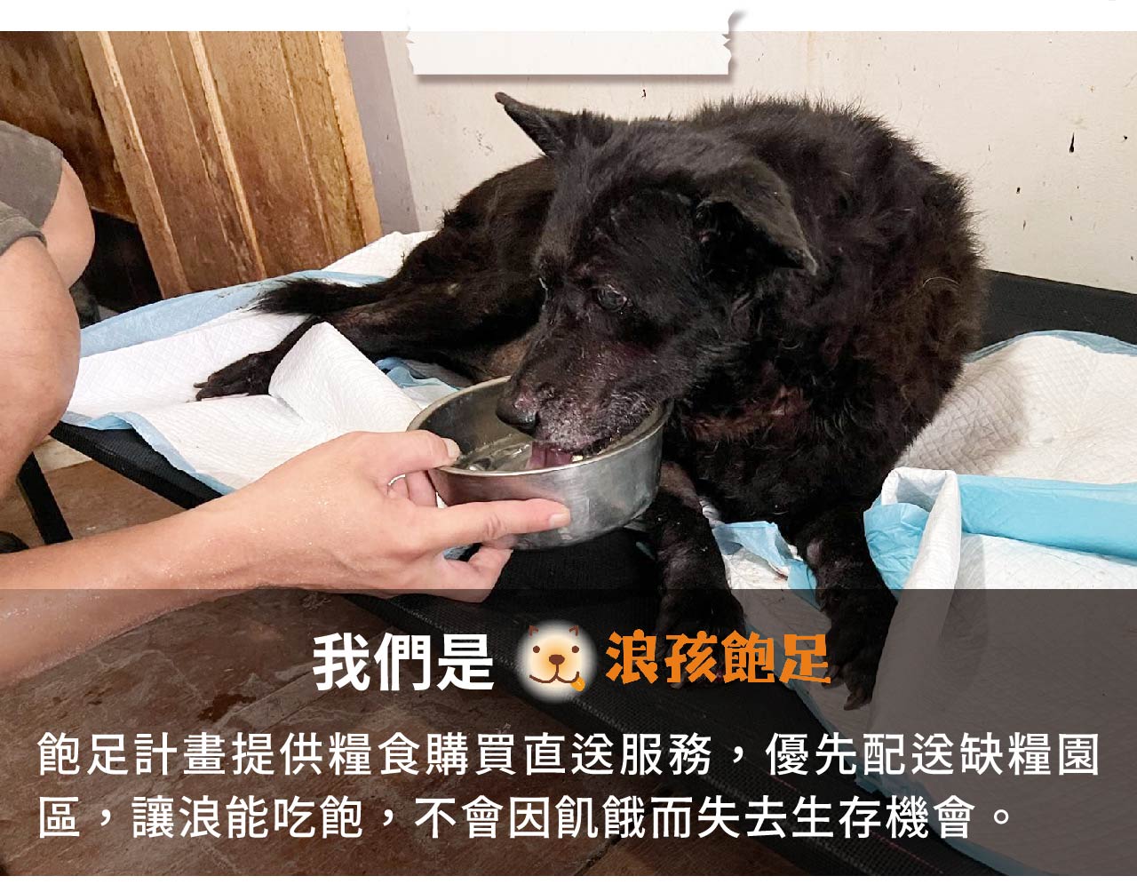 浪孩飽足 浪孩飽足