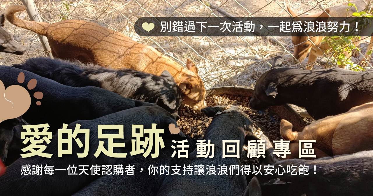 浪孩飽足