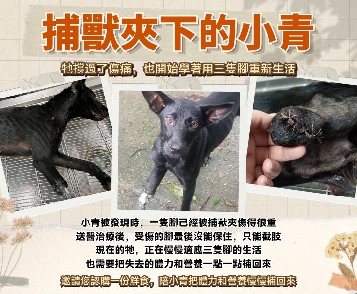 浪孩飽足