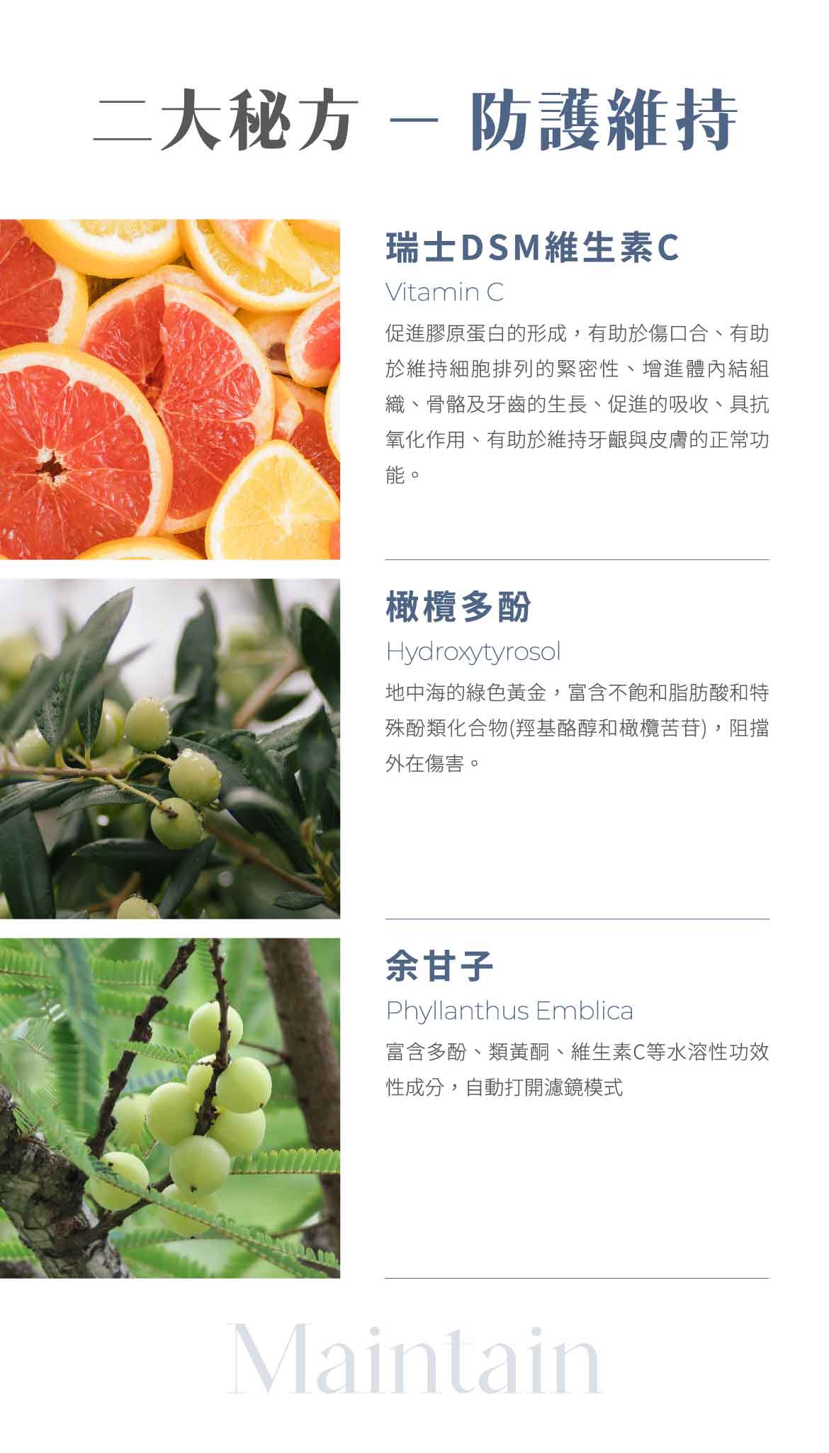 名絢生技 名絢生技