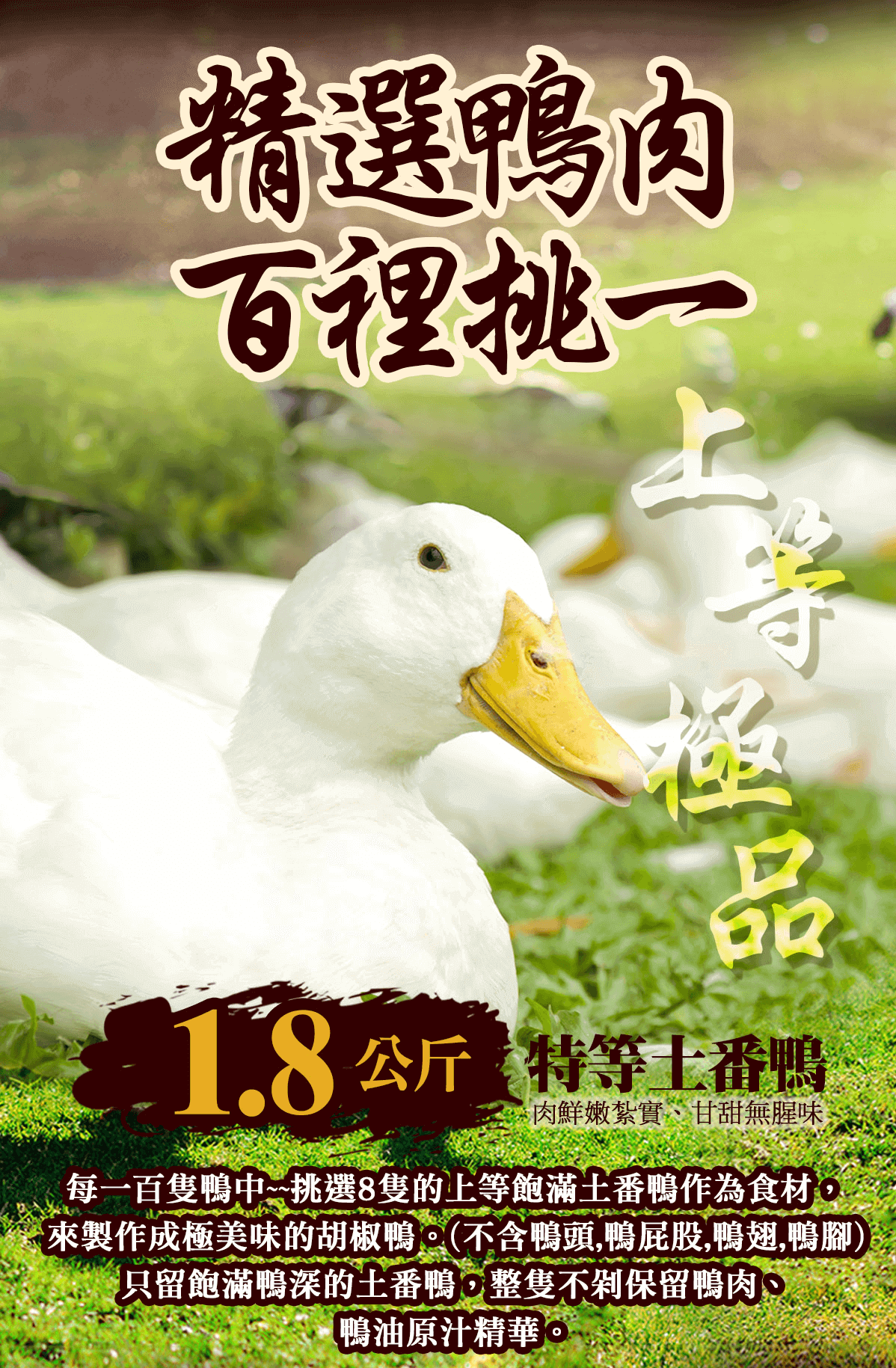 【踏輕】匠職巧手薑胡雙鴨